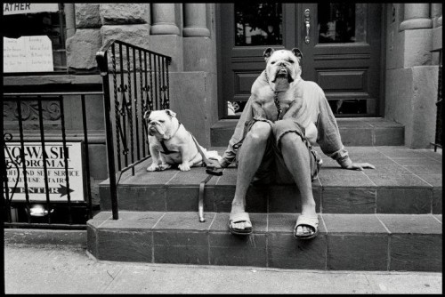 New York City, USA. 2000. ©Elliott Erwitt/Magnum Photos