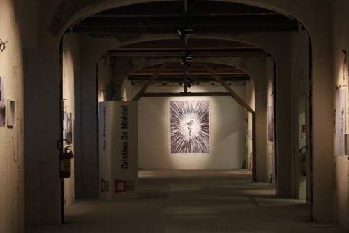 L'esposizione ai Chiostri San Pietro a Reggio Emilia