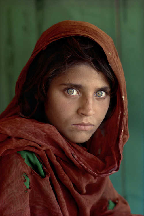 Sharbat Gula, ragazza afgana al campo profughi di Nasir Bagh vicino a Peshawar, Pakistan, 1984 