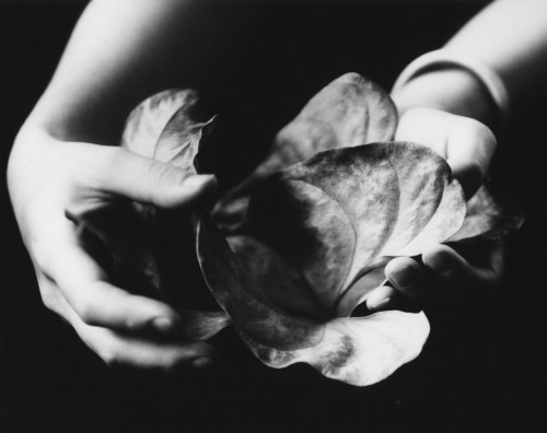  Walter Chappell, Senza Titolo, 1976 Stampa ai sali d’argento  © The Estate of Walter Chappell 