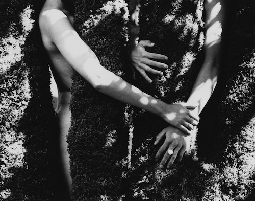Walter Chappell, Laurel Grove with Limbs and Hands, 1974 Stampa ai sali d’argento  © The Estate of Walter Chappell
