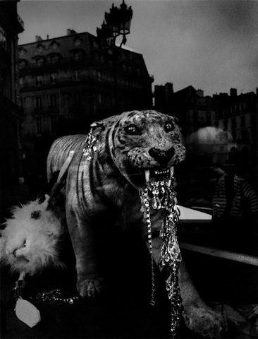 Roberto Salbitani, La città invasa, Parigi, 1976