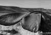 Genesi mostra Salgado a Venezia foto coda balena