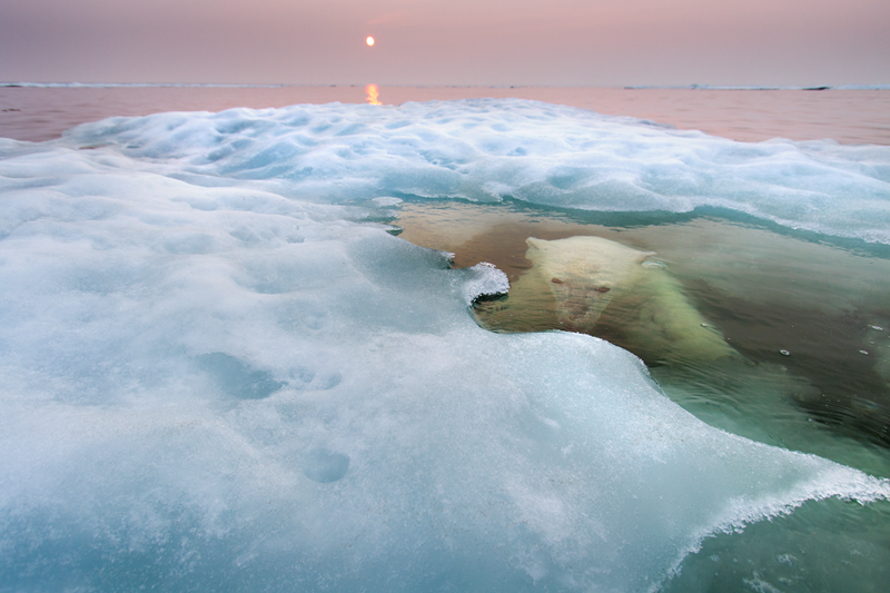 © Paul Souders/ Wildlife Photographer of the Year 
