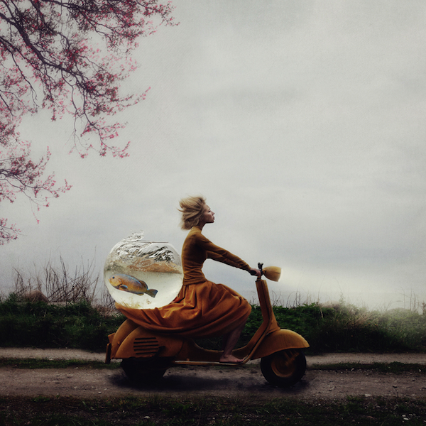 © Kylli Sparre, Estonia, Winer, Enhanced, Open Competition, 2014 Sony World Photography Awards