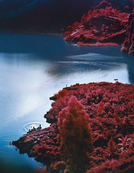 Richard Mosse, Lac Vert, 2012, from The Enclave (Aperture, 2013)