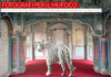 raccolti 50 mila euro per il museo di fotografia contemporanea di milano