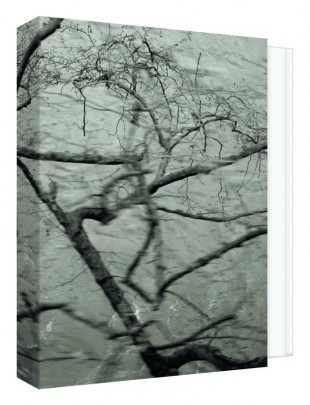 Memory Of Trees, Kathryn Cook