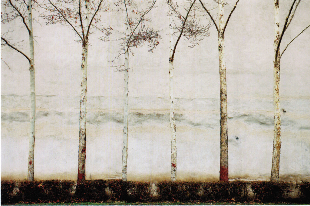 ©Abbas Kiarostami The wall 4, 2010 Stampa a getto di inchiostro su carta Fine Art Epson Edizione 4 di 5 Cm 57.0x89.0 