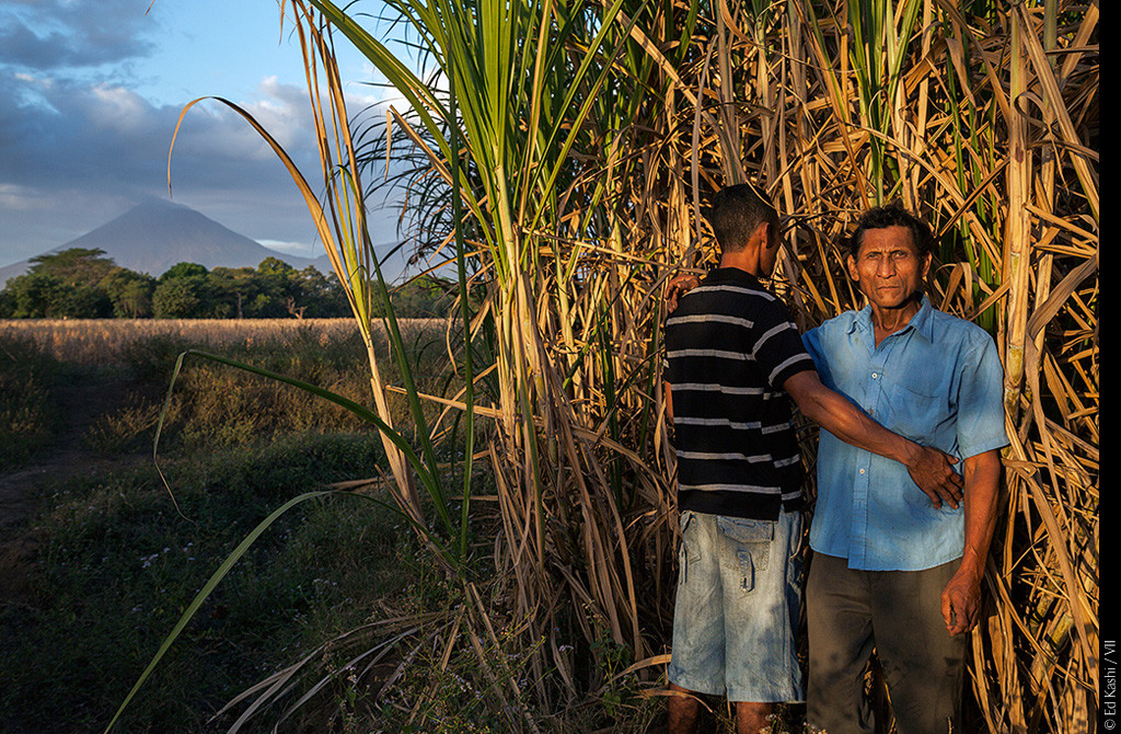 Nicaragua, 6 gennaio 2013. Un lavoratore di canna da zucchero (29 anni) posa con il padre (58 anni) nella coltivazione di Chichigalpa. Entrambi soffrono di CKDnT. © Ed Kashi/VII