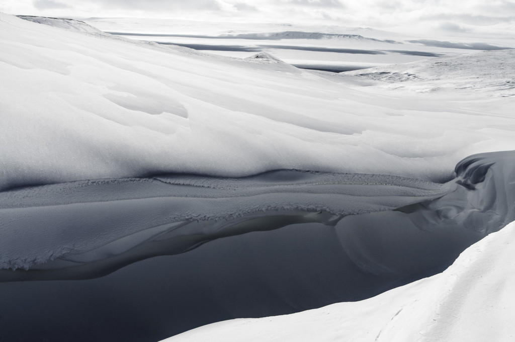 Vincent Munier Isola di Banks, Canada 2010