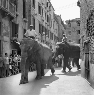 Le foto degli archivi Cameraphoto in mostra a Venezia