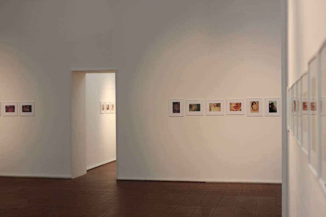 Daido Moriyama in color. Anteprima della mostra a Modena
