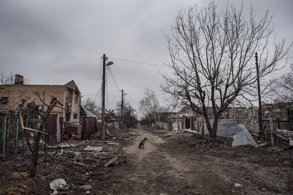 Un villaggio abbandonato nei pressi di Donetsk, nel quale ormai vivono solo branchi di cani randagi.