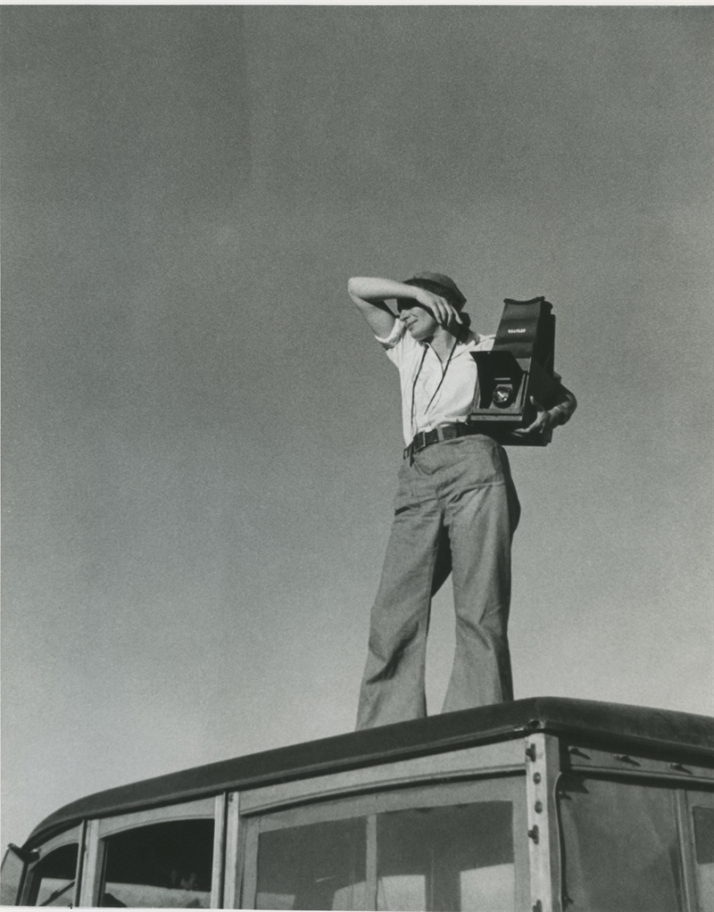 Lange on Top of Car