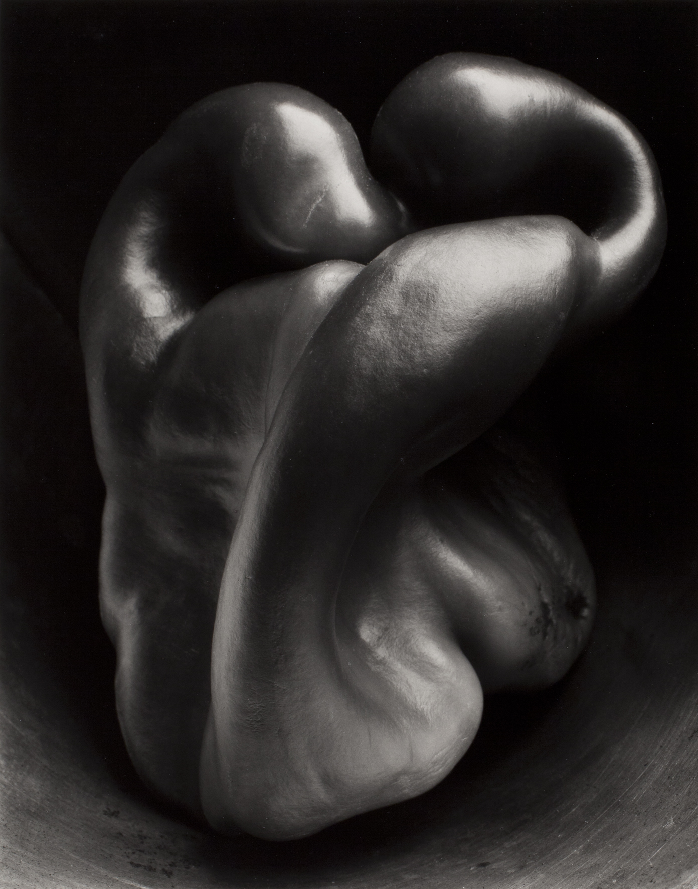 Edward Weston - Pepper no.30 , 1930 - stampa alla gelatina d'argento - © 1981 Center for Creartive Photography, Arizona board of Regents - Collezione Fondazione Cassa di Risparmio di Modena