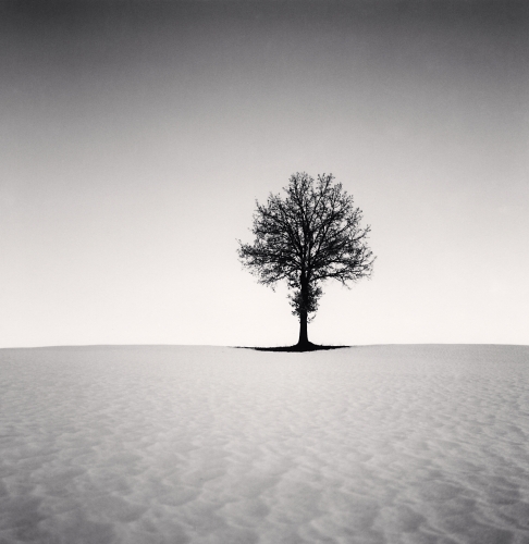 Tree in Snow, Castelvovo ne Monti, Emilia Romagna, Italy, 2006 © Kenna