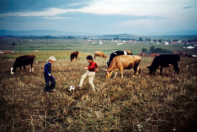 Steve McCurry, Ex Jugoslavia, 1989