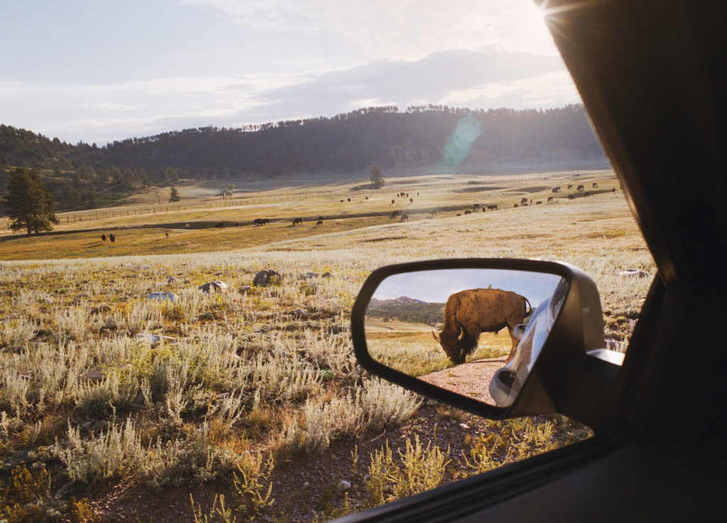 © Rebecca Norris Webb, “The Sky Below,” from My Dakota