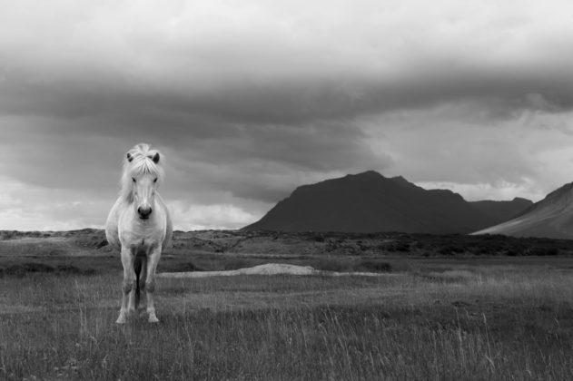 A L'Avana le fotografie di Alessandro Dobici