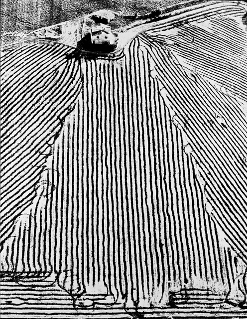 Mario Giacomelli, Dalla serie Presa di coscienza sulla natura, 1955-84 © Simone Giacomelli