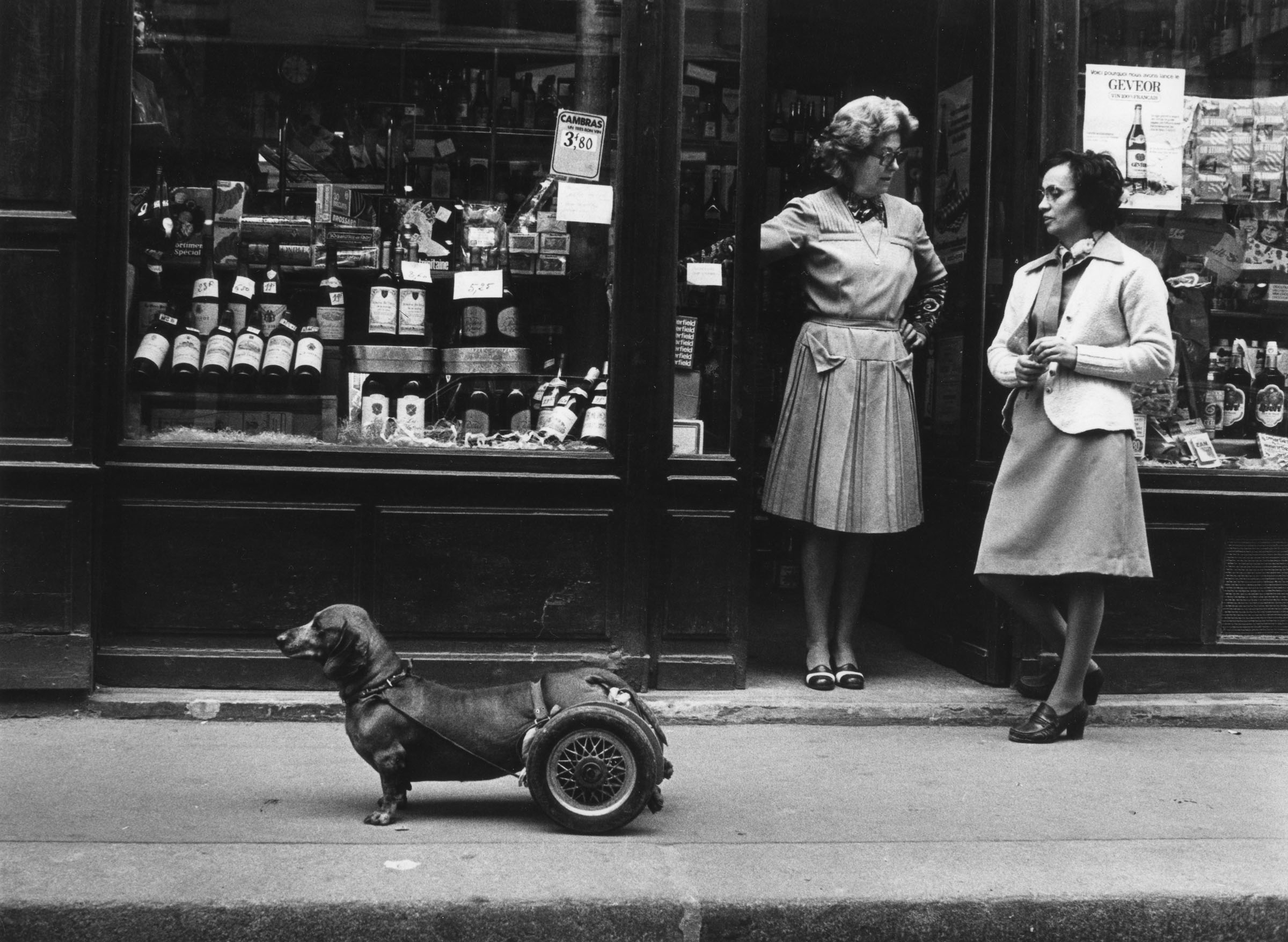 Robert Doisneau, Un chien a roulettes 1977 @ Atelier Robert Doisneau