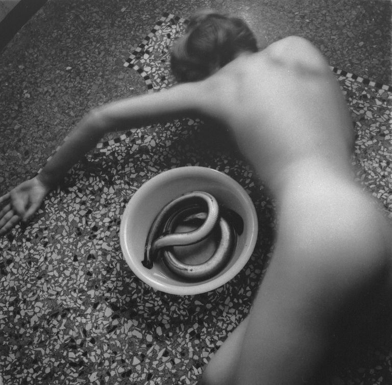 Francesca Woodman mostra venezia