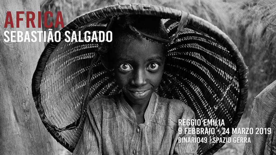 africa salgado reggio emilia