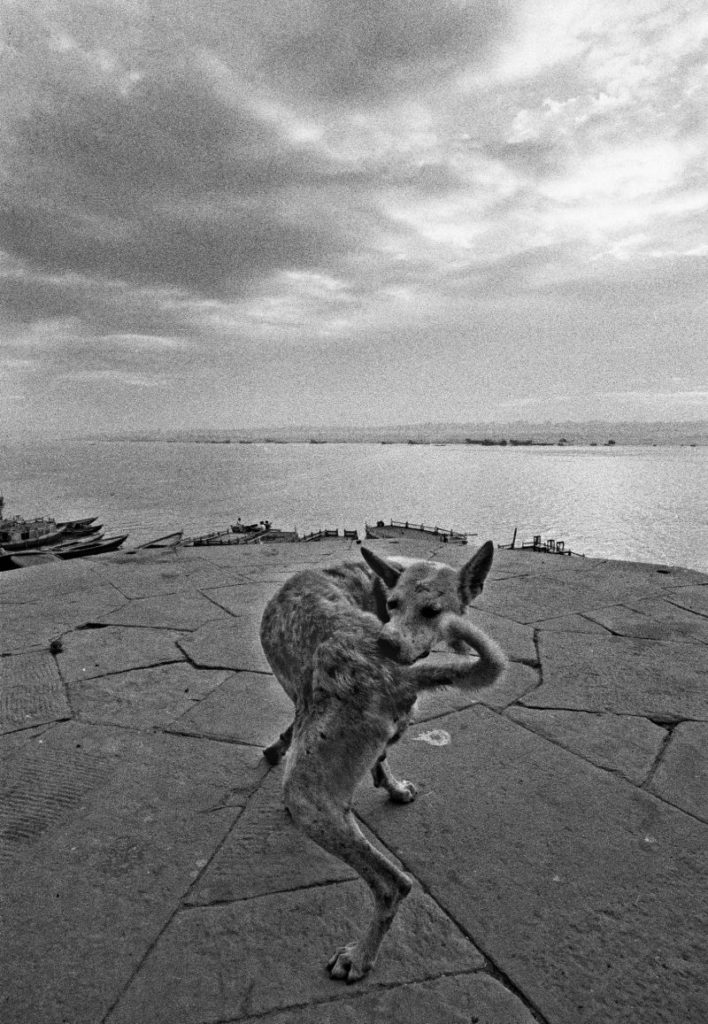 ferdinando scianna mostra palermo