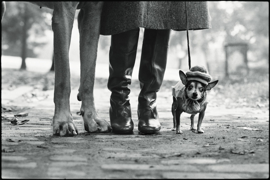 elliott erwitt mostra mudec milano