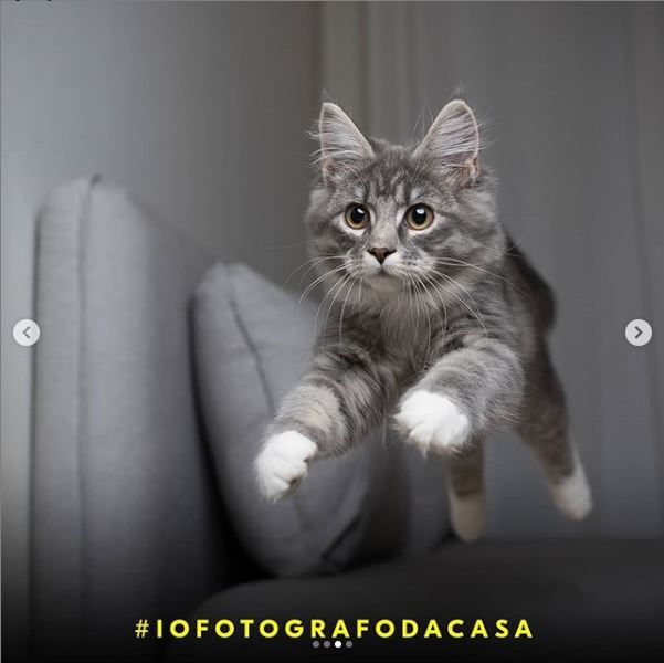 Nikon #iofotografodacasa