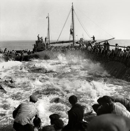 Herbert List Gli uomini tirano lentamente le reti cantando