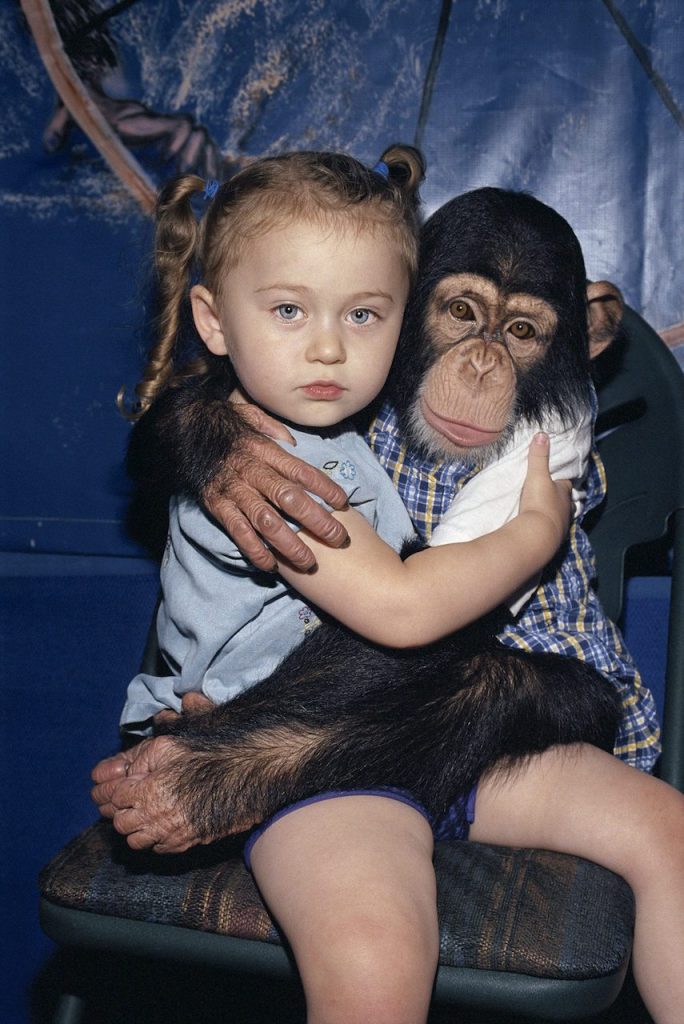 Robin Schwartz, Amelia And Ricky, from the series Amelia the Animals