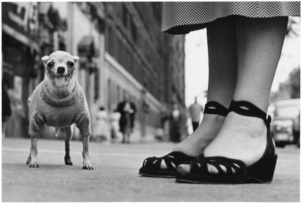 USA, New York City, 1946 © Elliott Erwitt