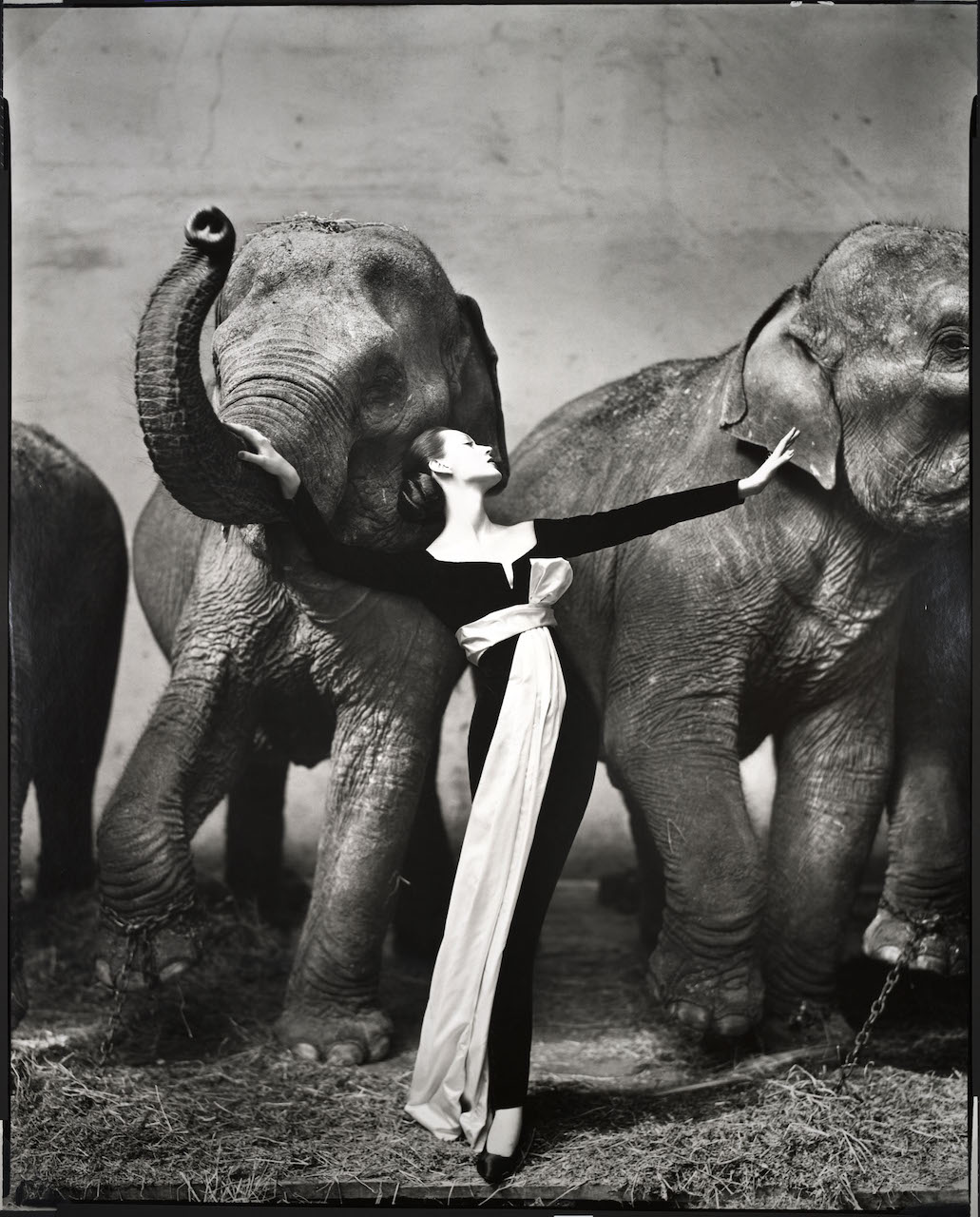 Richard Avedon, Dovima with elephants, evening dress by Dior, Cirque d'Hiver, Paris, August 1955 © The Richard Avedon Foundation