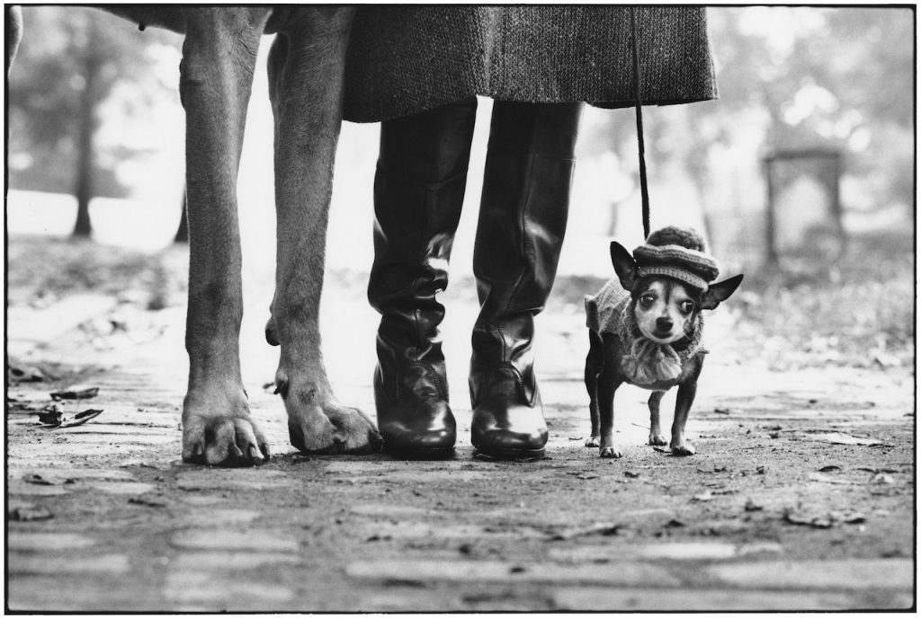 Elliott Erwitt, USA, New York City, 1974 © Elliott Erwitt