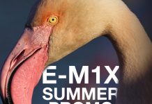 Summer promo per l'acquisto della fotocamera Olympus OM-D E-M1X