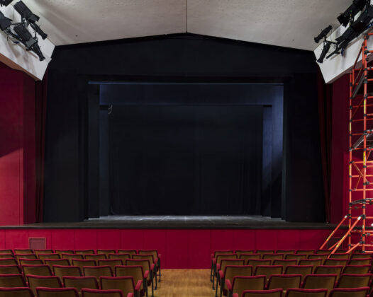 Martin Allegra, Piccolo Teatro Grassi, Milano 2020