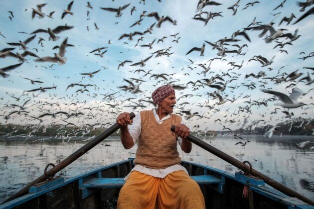 Saurabh Narang Ramnath, A man who feeds the migratory birds (URBAN Photo Awards 2022 - Finalista)