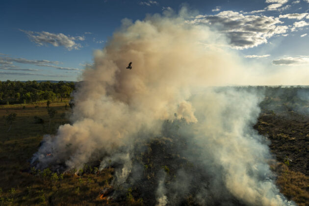 World Press Photo Story of the Year Matthew Abbott for National Geographic Panos Pictures