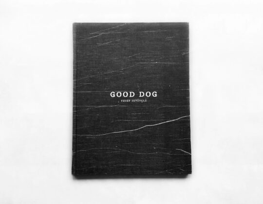 Yusuf Sevincli Good Dog