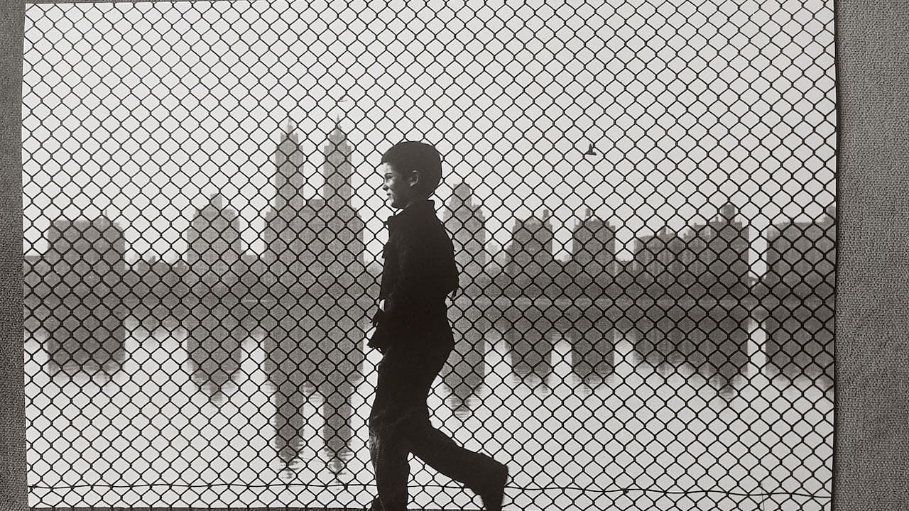Ruth Orkin, Boy on Reservoir, Central Park, New York City, 1960, Modern print, 2021 © Ruth Orkin Photo Archive