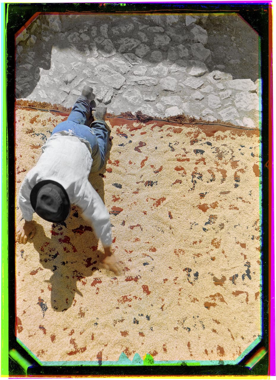 Werner Bischof Essicazione del grano Castel di Sangro, Italia 1946 Stampa a getto d’inchiostro da ricostruzione digitale, 2022 © Werner Bischof Estate / Magnum Photos