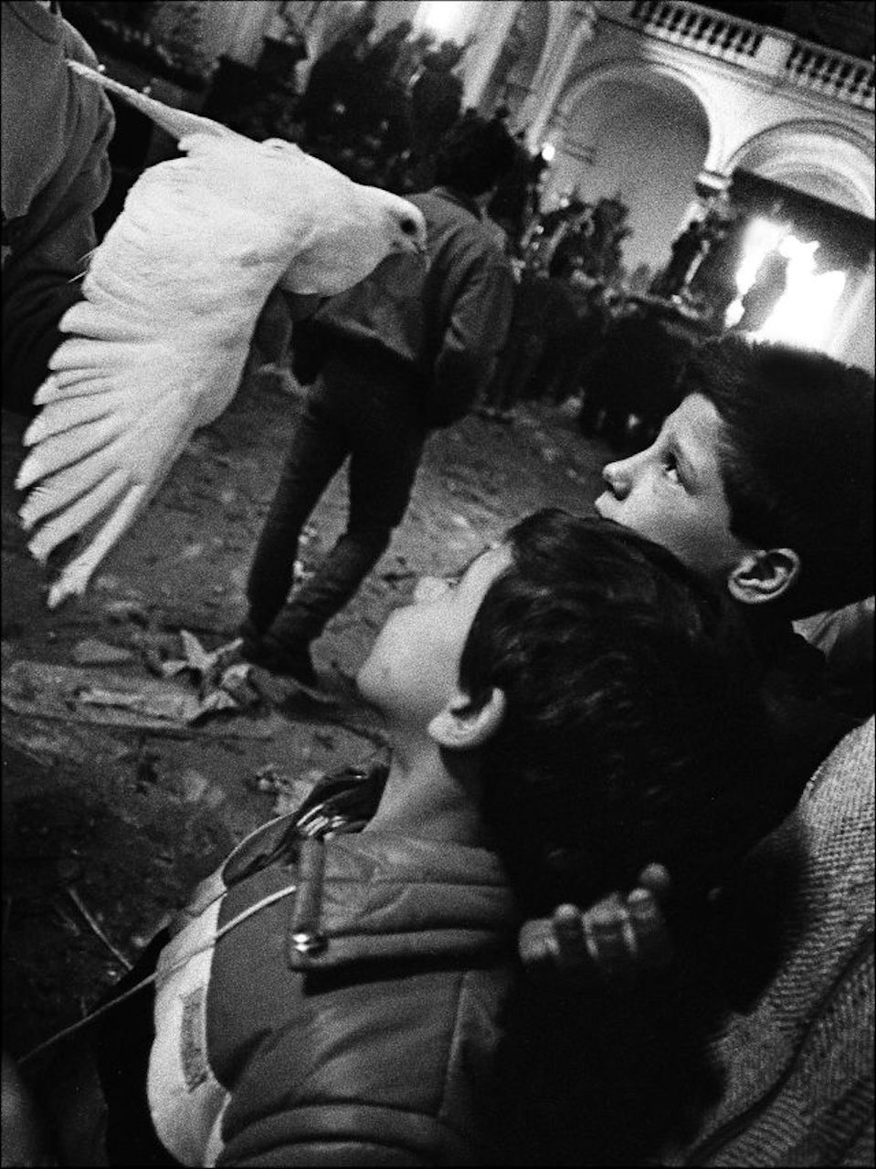 I Misteri. La colombina. Trapani, 1989© Archivio Letizia Battaglia
