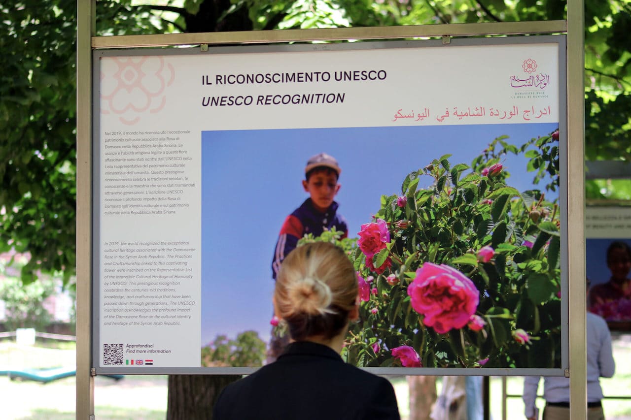 Torino, Giardini Reali, La Rosa di Damasco. Dalla Siria a Torino © Alessandro Uccelli