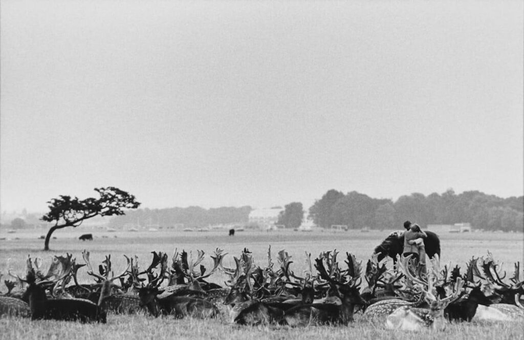 Francesco Radino Irlanda, 1973 © Eredi Francesco Radino - Regione Lombardia / Museo di Fotografia Contemporanea, Milano-Cinisello Balsamo