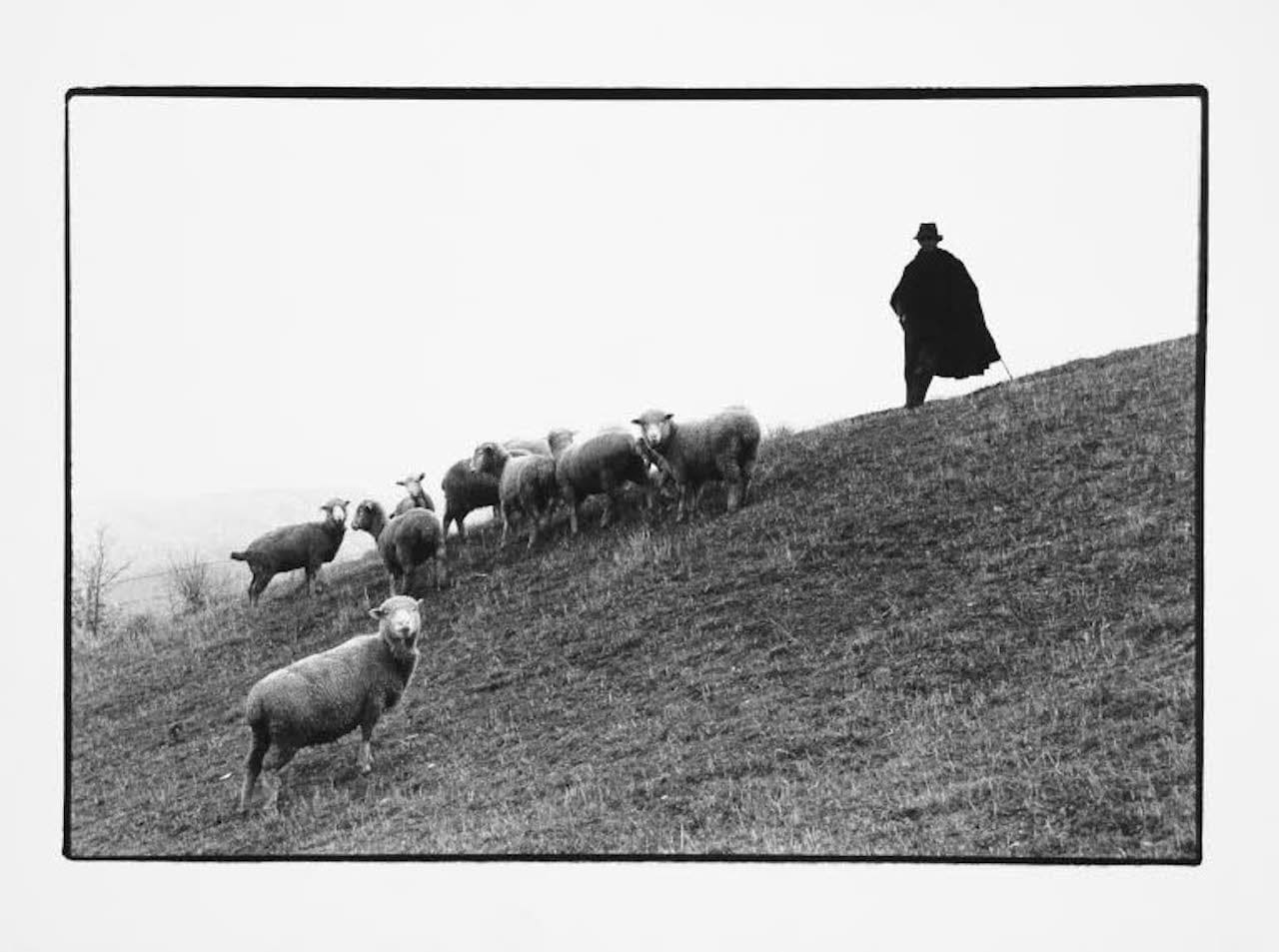Francesco Radino “Contadini e pastori a San Fele”, 1981 © Eredi Francesco Radino - Regione Lombardia / Museo di Fotografia Contemporanea, Milano-Cinisello Balsamo