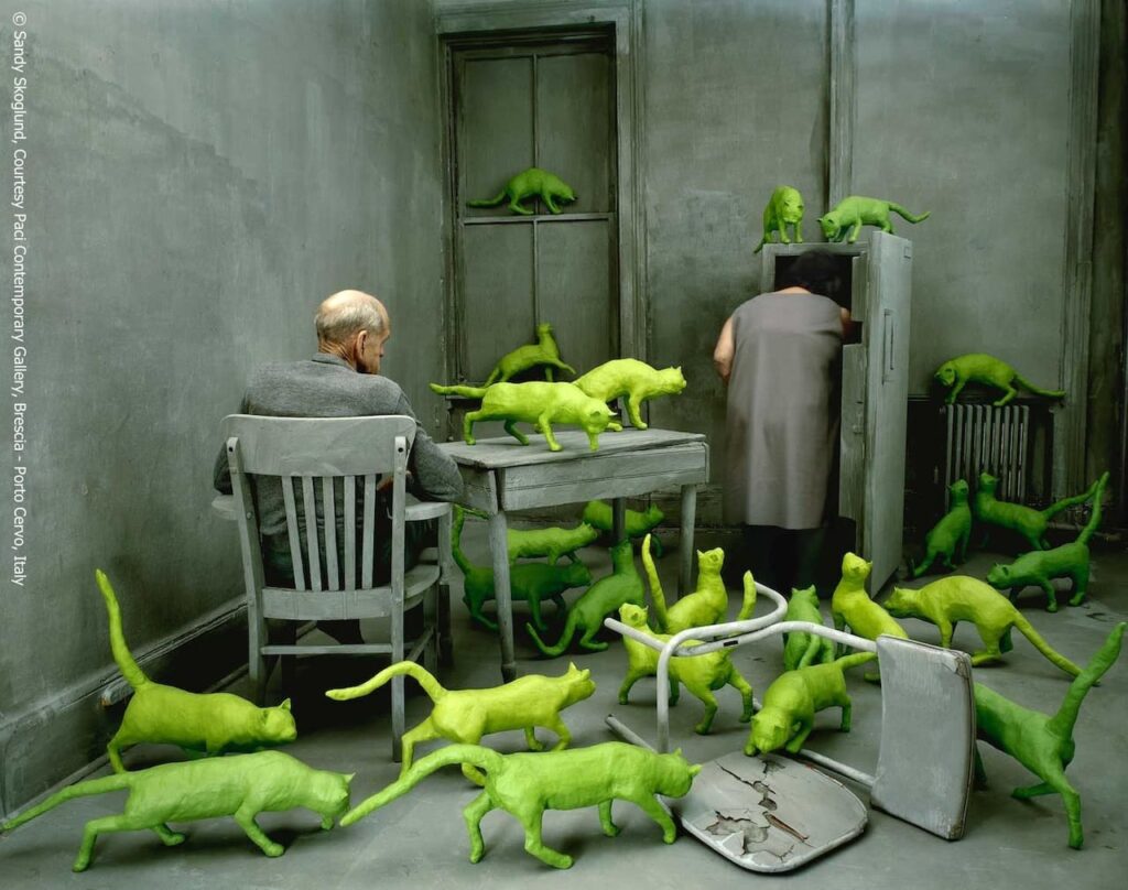 Sandy Skoglund Radioactive cats 1980 Copyright Sandy Skoglund Courtesy Paci Contemporary Gallery Brescia Porto Cervo Italy