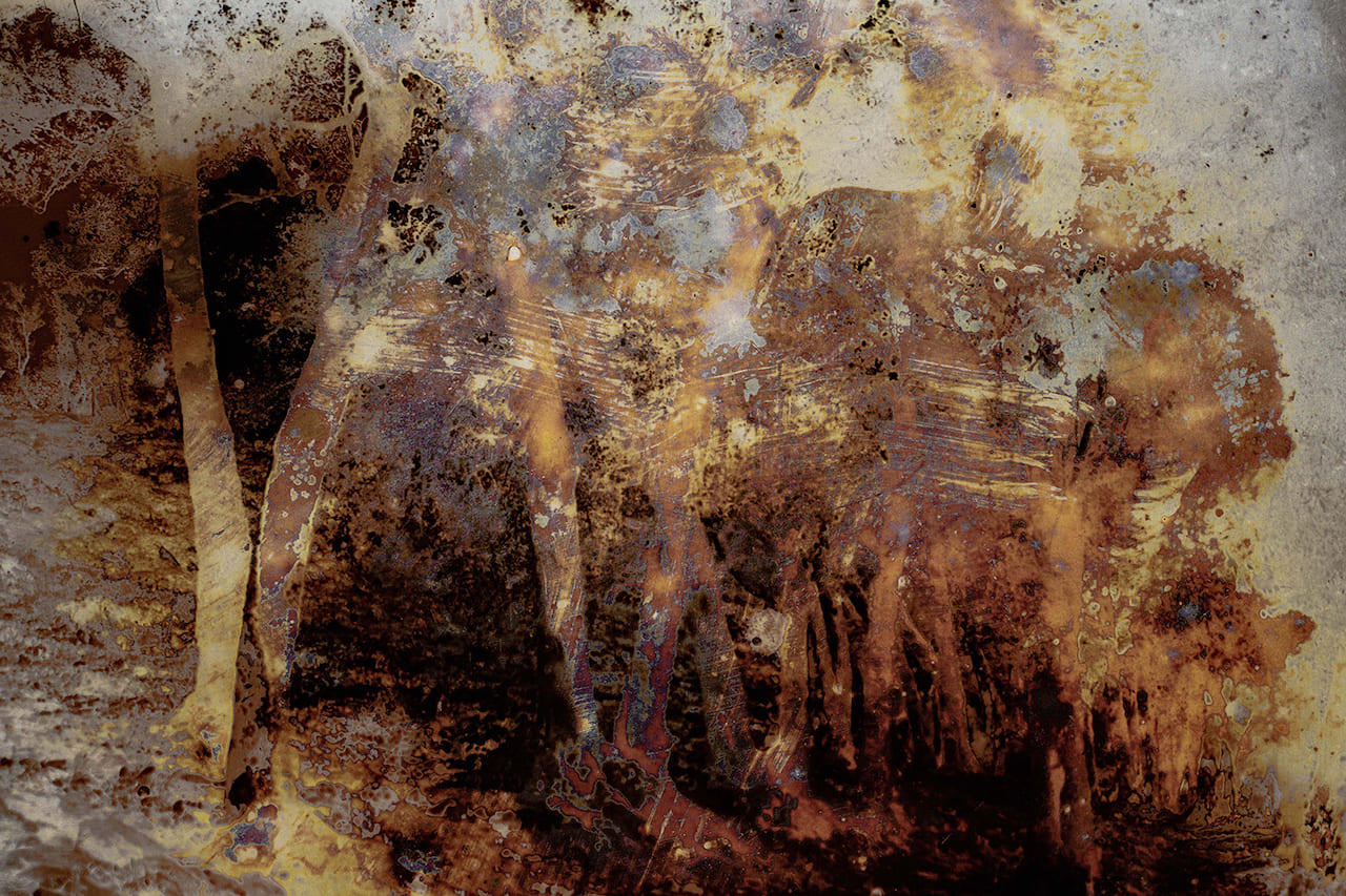 Joan Fontcuberta. Cultura di polvere - Trauma #1838, light box 100x150 cm, stampa INK JET su pellicola Backlight montata su plexiglass 3mm in scatola di legno nero (profilo 3 x 7 cm), 2022 - © ICCD Roma