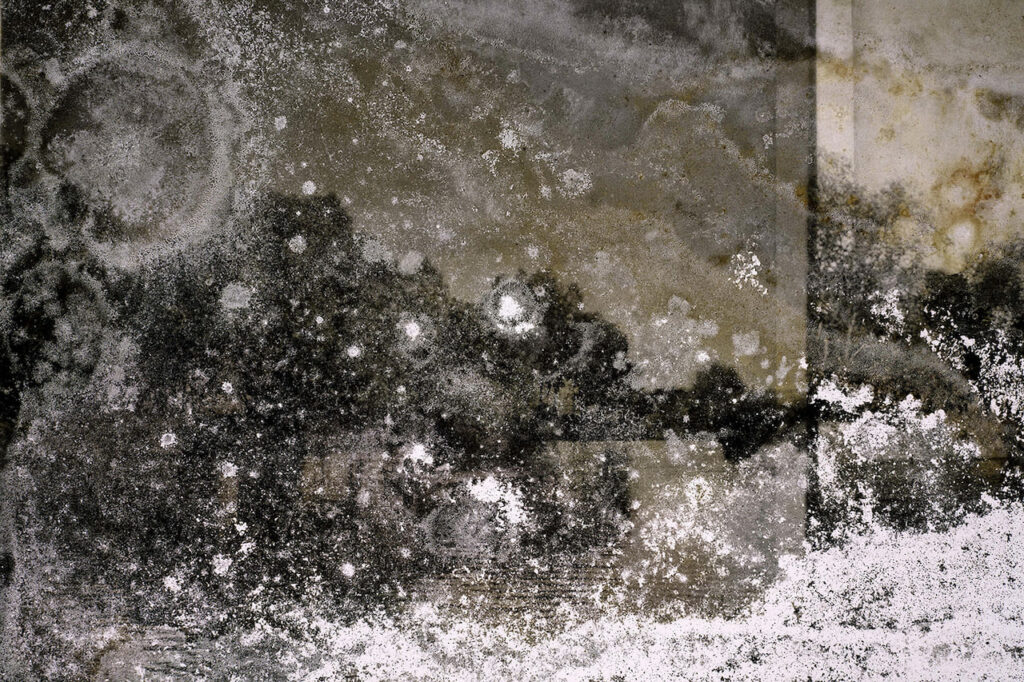 Joan Fontcuberta. Cultura di polvere - Trauma #3227, light box 100x150 cm, stampa INK JET su pellicola Backlight montata su plexiglass 3mm in scatola di legno nero (profilo 3 x 7 cm), 2022 - © ICCD Roma